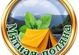 Мятная поляна