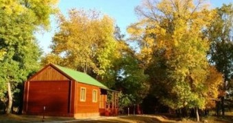 Дельта Трофи