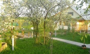 Волжская усадьба