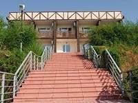 Подсолнух