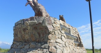Памятник медведице и медвежонку