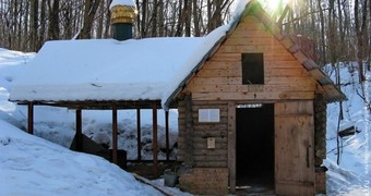 Святой колодец близ села Карандаково Мценского района Орловской области