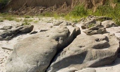 Природный парк "Цимлянские пески"
