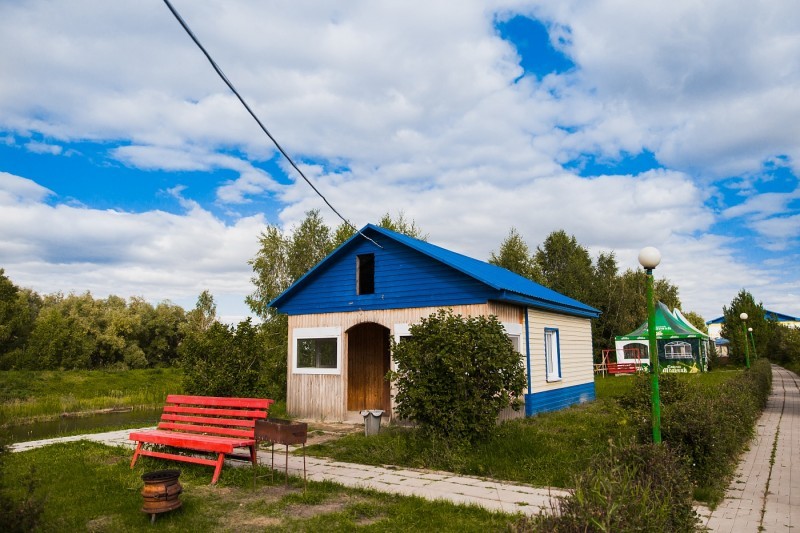 Подсолнухи база отдыха омск